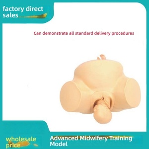 Tiên Tiến PVC Hộ Sinh Đào Tạo Mô Hình Cho Y Tế Khoa Học Sản Khoa Lao Động Thực Hành Đầu Thai Chân Không Khai Thác Cho Bình Thường - Product Image 2