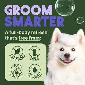 Shampooing blanchissant personnalisé pour chien, éclaircissant pour poils noirs, shampooing respectueux des animaux, brobiotique <span class=keywords><strong>antifongique</strong></span> pour chien blanc, sûr pour chiot - Product Image 3