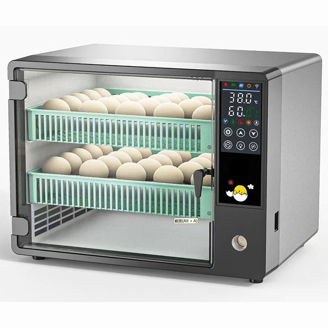 Newest Fully Automatic Mini Egg Incubator 50-Egg Capacity Dual Power Stylish Design