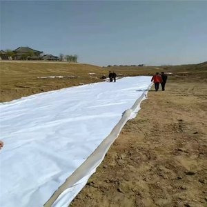 Tissu géotextile en filament certifié CE pour la construction de routes <span class=keywords><strong>et</strong></span> de pistes aéroportuaires - Product Image 4