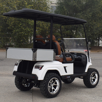 Voiturette de golf tout-terrain électrique 48V à 2 places, batterie lithium haute performance, produit chinois