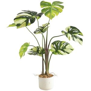 <span class=keywords><strong>Plante</strong></span> artificielle <span class=keywords><strong>Monstera</strong></span> <span class=keywords><strong>variegata</strong></span> en pot, 70-100 cm, faux arbre tropical pour la décoration intérieure et extérieure de la maison et du jardin - Product Image 5