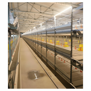 Nouvelle mangeoire anti-déversement à cadre en acier à haute capacité de charge pour petits animaux d'élevage, cages à poulets de chair de type H avec garantie de 5 ans, fonctionnement facile - Product Image 1