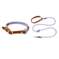 Kalung Kulit Asli Warna Sesuai Pesanan untuk Anjing Kecil, Sedang, dan Besar untuk Jalan-Jalan di Luar Ruangan