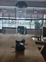 2 4 6 ports d'alimentation bol d'alimentation suspendu automatique résistant aux intempéries mangeoire d'extérieur Portable pour oiseaux