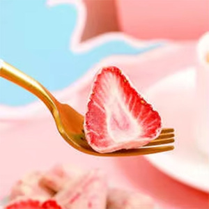 OEM Vente en gros Populaire Snacks au chocolat aux <span class=keywords><strong>fruits</strong></span> composés Fraise lyophilisée Emballage exotique <span class=keywords><strong>Fruits</strong></span> séchés Légumes séchés - Product Image 1