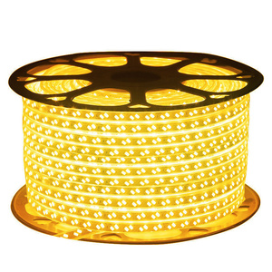 2024 di alta qualità materiale Pvc lampada da esterno luce del telaio 220v <span class=keywords><strong>120d</strong></span> strisce <span class=keywords><strong>Led</strong></span> corda luci