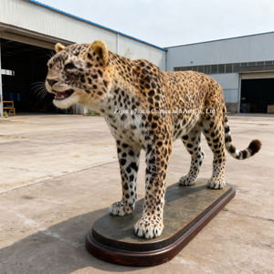 Modelo Animatronic de leopardo de tamaño real personalizado para casa de juegos y Escuela decoraciones de zoológico interior parque de atracciones - Product Image 4