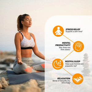 Cápsulas blandas de cafeína y L-teanina OEM ODM con triglicéridos de cadena media que funcionan en conjunto para proporcionar una energía suave y concentrada - Product Image 4