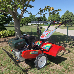 <span class=keywords><strong>Mejor</strong></span> Venta Rototiller Cultivador Mini <span class=keywords><strong>Gasolina</strong></span> Potencia Tiller y Cultivadores - Product Image 1
