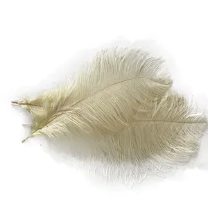 결혼식 중심 조각을위한 흰색과 검은 색 타조 깃털 55-60 cm