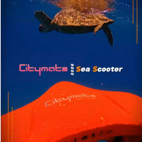 Scooter sous-marin de style Seawalker, 530W, double moteur, vitesse de 1,8 m/s, scooter des mers électrique, profondeur de plongée de 40 m