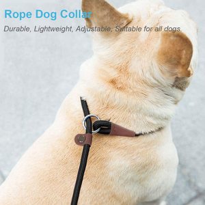 Slip <span class=keywords><strong>Collar</strong></span> Nylon Rope Choke <span class=keywords><strong>Collar</strong></span> für das Hunde training-No Pull Round <span class=keywords><strong>Martingale</strong></span> Hunde halsband für kleine mittelgroße Hunde - Product Image 2