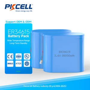 리튬이온 배터리 팩 ER34615-2 비충전식 리튬이온 배터리 팩 ER34615 - Product Image 1