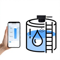 Controlador de Nivel de Agua Ultrasónico Smartlife Tuya con Pantalla LCD, Sensor de Nivel de Gas Alto/Bajo en Tiempo Real