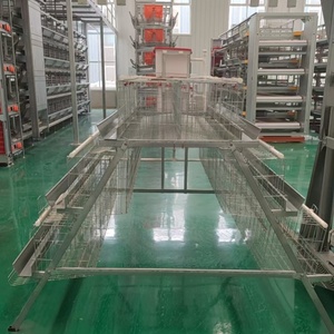 Cage à poulets de type A en fil métallique résistant à la rouille, cage à étages, équipement durable pour l'élevage - Product Image 3