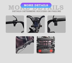 Tricycle à 3 roues pour adultes, scooter d'occasion, vélo tricyclic, fourniture directe d'usine, 500W 60V20Ah, certifié CE, personnalisable - Product Image 5