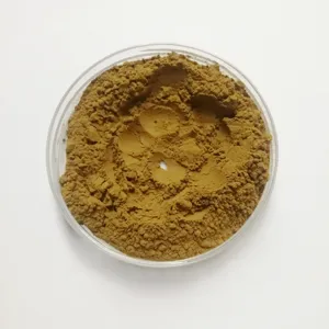 ISO認定メーカーLoofahエキスパウダーLoofah Leaf Extract Loofah Powder