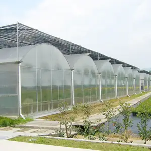 Polycarbonate Greenhouse Garden Green House Outdoor Plant Hot Sale