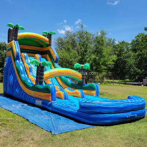 สไลด์น้ำ<span class=keywords><strong>เป่า</strong></span><span class=keywords><strong>ลม</strong></span>แบบเป่าลมรูปต้นปาล์มเขตร้อนแบบมีที่เป่าลม - Product Image 4