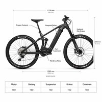 Vélo de montagne électrique à moteur central 1000W, couple de 160Nm, vélo électrique de chasse discret, cadre en alliage d'aluminium 48V