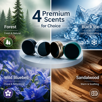Diffuseur de parfum de luxe en métal pour grille d'aération de voiture, finition miroir, parfum bois, aromathérapie, clip d'huile essentielle pour intérieur automobile