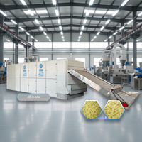 Machine de déshydratation pour nouilles de riz, équipement de séchage pour vermicelles