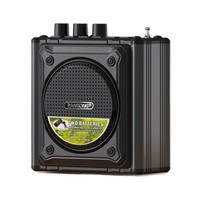 Mini amplificateur VOICE de vente chaude avec fonction Mp3 Fonction USB Carte TF/SD Télécommande Bluetooth pour l'appelant d'oiseau extérieur