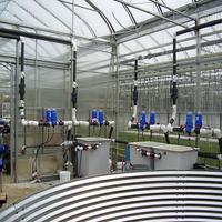 Système de culture de serre hydroponique pour la structure de pompe à piston de fraise pour la plantation dans la gouttière