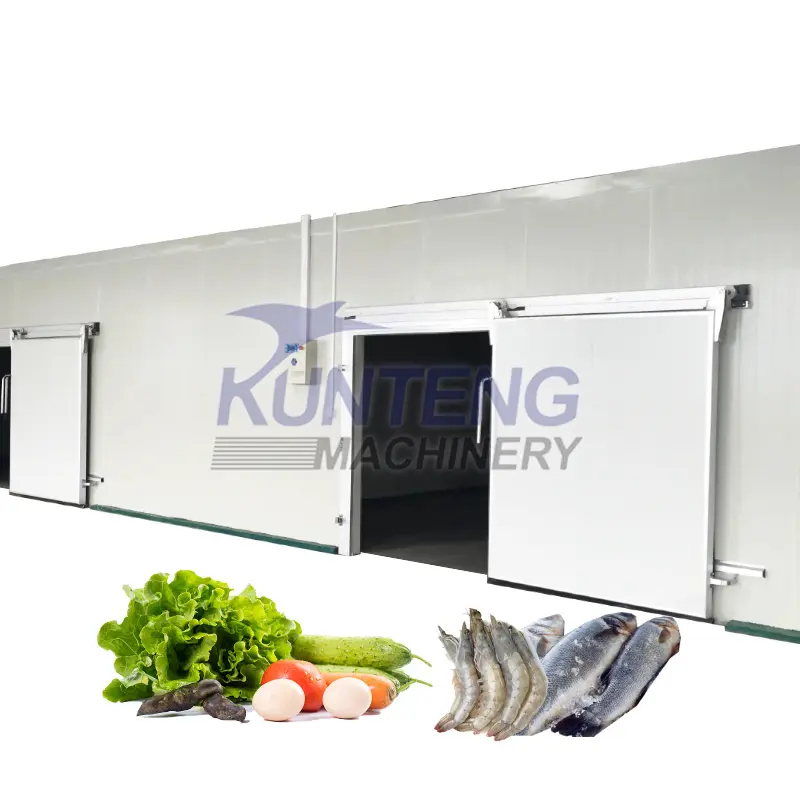 Fornire installazione camera fredda pannello porta unità di refrigerazione a piedi in camera fresca congelatore compressore magazzino di conservazione a freddo prezzo