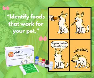 Kit de Prueba de IgG para Alimentos Veterinarios - Detección Cuantitativa de Alergias e Intolerancias Alimentarias en Perros y Gatos, Prueba de Sensibilidad a Alimentos para Mascotas - Product Image 6
