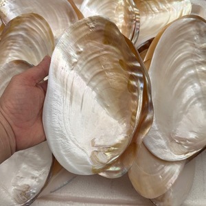 Assiette <span class=keywords><strong>de</strong></span> service en nacre naturelle écologique polie, vaisselle pour hôtel et restaurant - Product Image 4
