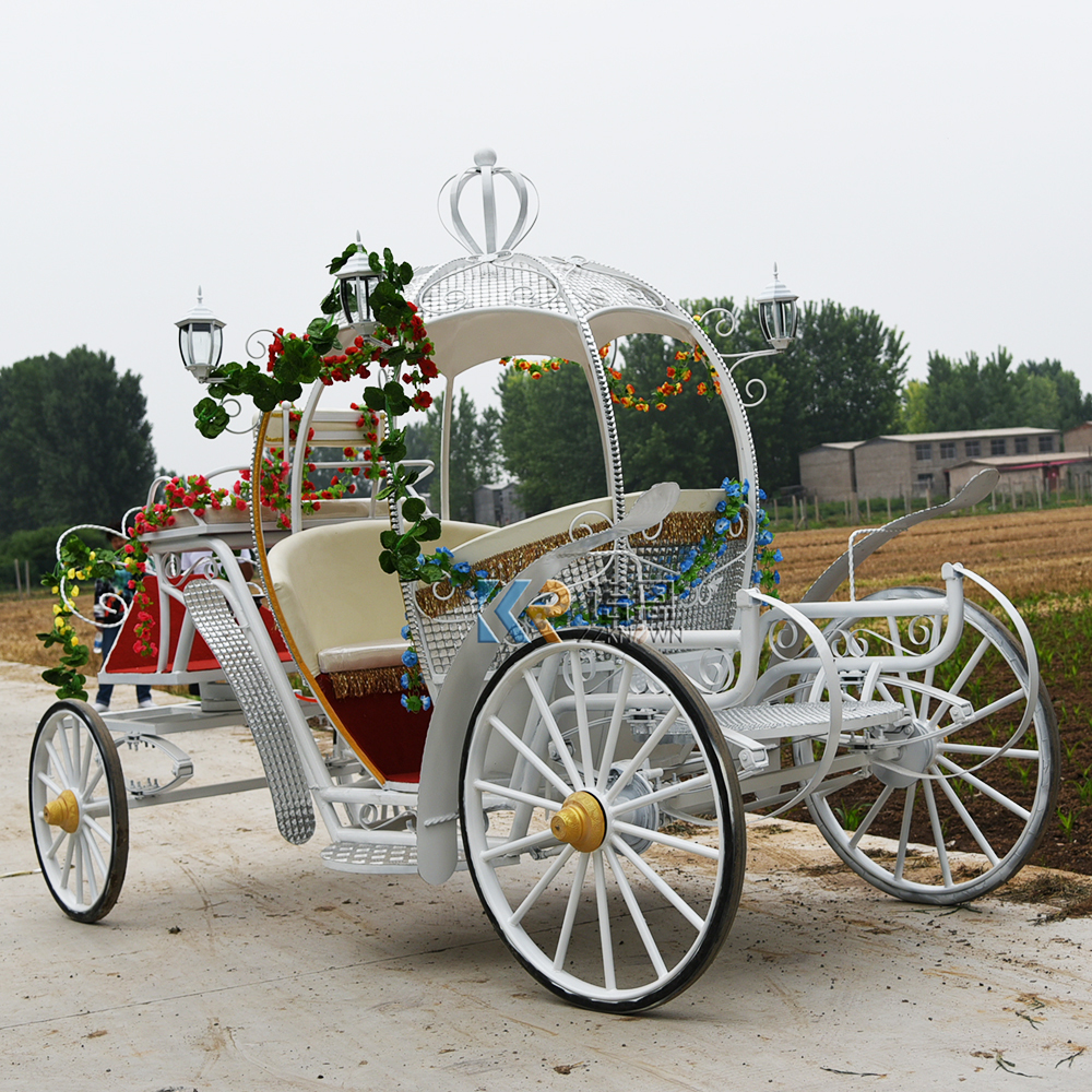 Royal Horse Drawn Buggys Elegant Wedding Carriages