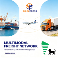 Service de livraison transfrontalière de fret e-commerce de la Chine vers la Sierra Leone, DDP, porte-à-porte, dédouanement, taxes incluses