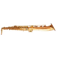 Saxofón Alto Profesional Huayun de Latón con Acabado Dorado, Estuche Rígido, Boquilla Ajustable, Correas, Cañas y Kit de Limpieza