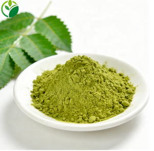 Fornitura OEM di Polvere di Foglie di <span class=keywords><strong>Neem</strong></span> di Grado Alimentare, Polvere di <span class=keywords><strong>Neem</strong></span>, Estratto di <span class=keywords><strong>Neem</strong></span> - Product Image 3