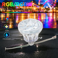 Source de lumière LED architecturale de 66 mm, programmable SPI, étanche IP68, éclairage de parc à thème, 24V