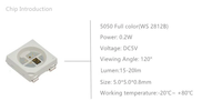 Bande LED 5V WS2812B 96 LED SMD5050 Dream Color, guirlande lumineuse, PCB noir, corps en cuivre, contrôle intelligent par application, pour aménagement paysager