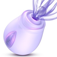 Vibrateur à succion rose dégradé en gros d'usine, produit sexuel pour adultes, 10 fréquences, rechargeable magnétique