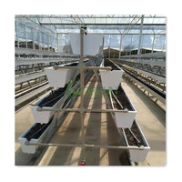 Grand système de culture hydroponique agricole pour fraises avec canal NFT