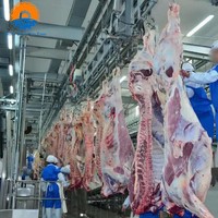 Équipement d'abattage de bovins halal, ligne de traitement complète en acier inoxydable 304, machine d'abattage de vaches