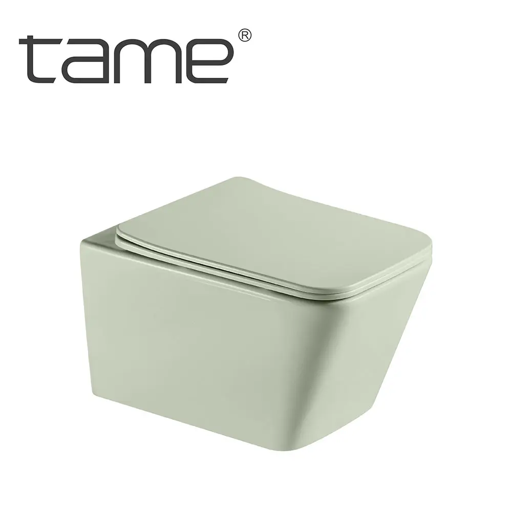 TAME TMYT3036-MKG Elegante Badezimmermatte hellgrüne wandtoilette randlose Doppel-Spülung Wandhängende Toilette