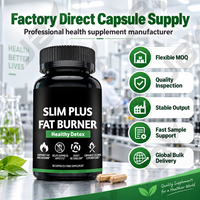 Complément Brûleur de Graisse à Marque Blanche avec Garcinia Cambogia, Thé Vert, L-Carnitine, Bloqueur de Glucides, Capsules de Soutien Métabolique