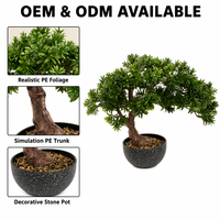 Arbre Bonsaï Artificiel OEM ODM, Plante Artificielle en Pot pour la Décoration de la Maison, du Bureau, de la Table, de la Table de Bureau, Végétation Miniature Réaliste, Cadeau