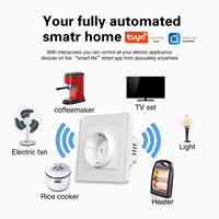 Prise Murale Intelligente Wi-Fi Standard UE 110-250V 16A avec Télécommande APP et Commande Vocale pour la Maison