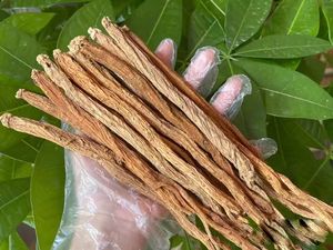 Erva chinesa Codonopsis Raiz Planta inteira ou fatia Codonopsis Ginseng Codonopsis Lanceolata - Product Image 2