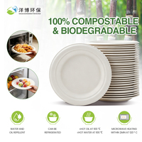 Boîte à lunch en bagasse de canne à sucre avec couvercles, vaisselle jetable, livraison rapide pour les programmes de repas scolaires