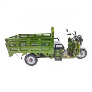 1Kw 1Mature 2 Cargo Mopeds 3 Three Wheel Electric Tricycle Bike Trike