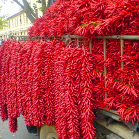 Piment fort de Cayenne de haute qualité, piment rouge séché, prix fournisseur