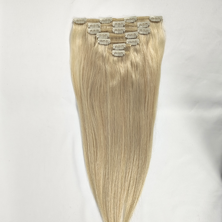 Ensemble de cheveux à clips